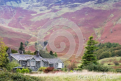 House nestling against a background of a steep fell side Stock Photo