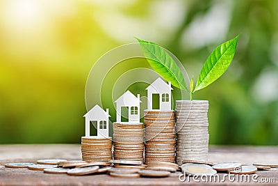 House paper model and tree growing on coins stack for saving to buy house Stock Photo