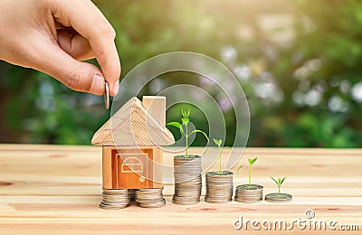 House placed on coins, The tree grows on coins. hand that is coin down the house. Stock Photo