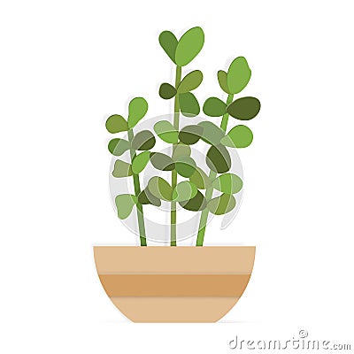 House plant in a brown pot in paper art style Vector Illustration