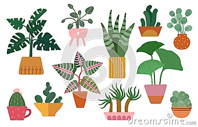 House plant. Home cactus, scandinavian decor. Cute succulents, cacti and houseplants, indoor flowers in pots. Isolated Vector Illustration