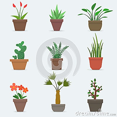 House plants and flowers in pots. Vector Illustration