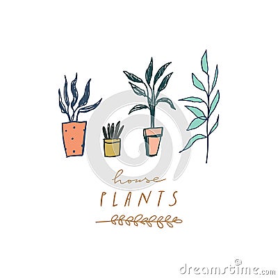 House plants in pots. Home jungle collection. Gardening elements set, spring or summer design elements. Vector illustration Cartoon Illustration