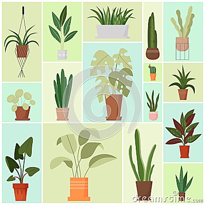 House plants in pots set, green foliage, growing fresh houseplants in garden planters Vector Illustration