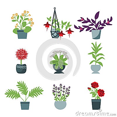 House plants set Vector Illustration