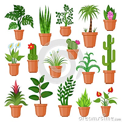 House pot plants Vector Illustration