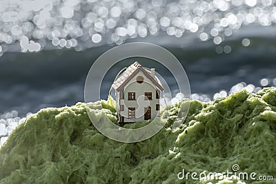 House on sea shore, wave in background. Residential building at risk of flood, tsunami, accidents and disasters Stock Photo