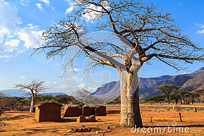 House surrounded by baobab trees in Africa Stock Photo