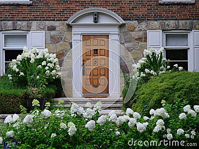 house surrounded by white hydrangea bushes Stock Photo