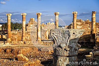 The House of Theseus, Roman villa ruins at Kato Paphos Archaeological Park, Paphos Editorial Stock Photo