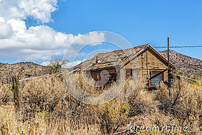 House in thicket Stock Photo