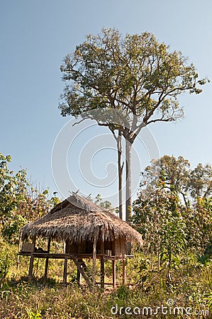 House and Tree Stock Photo