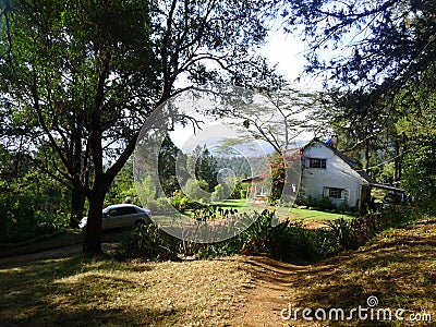 House in the woods Stock Photo