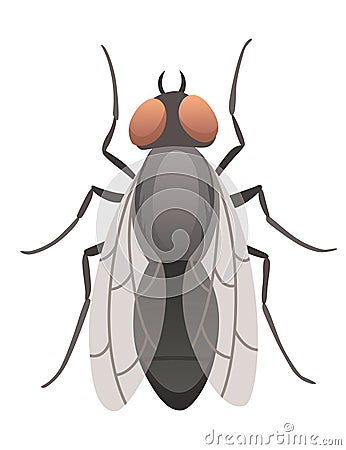 Housefly insect icon. Wildlife symbol in cartoon style. Scary insect. Graphic design element. Entomology closeup color Vector Illustration