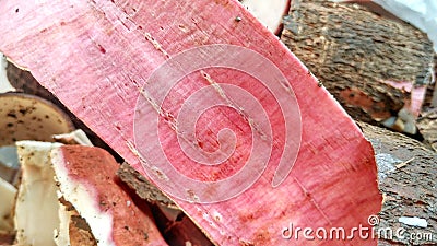 Household waste in the form of white, red, and brown cassava skin Stock Photo