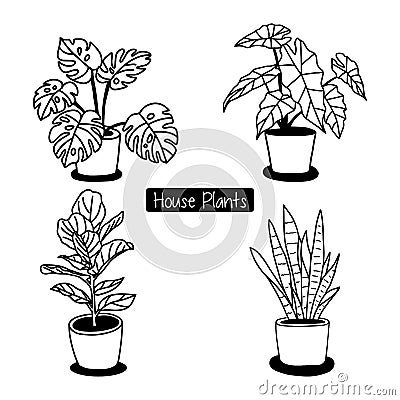 Hand drawn house plants in pots. Vector Illustration
