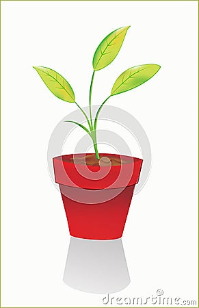 Houseplant Vector Illustration