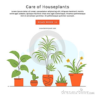 Houseplant care banner with place for text. Indoor potted plants Vector Illustration