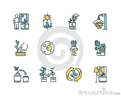 Houseplant care RGB color icons set Vector Illustration