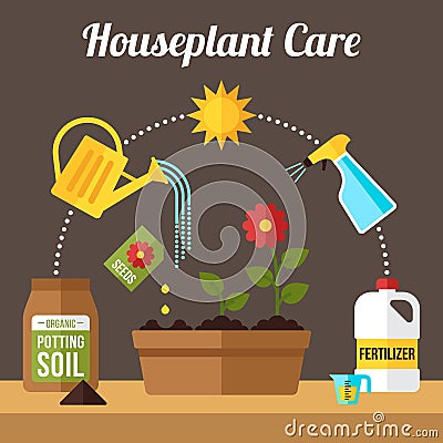 Houseplant care scheme Vector Illustration