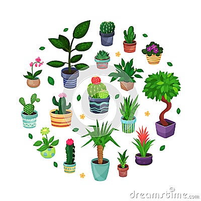 Houseplant in Ceramic Pots Growing Indoors Arranged in Circle Vector Template Vector Illustration