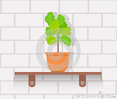 Houseplant Design Flat Concept Vector Illustration