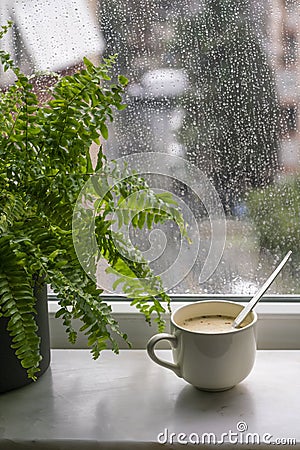 Houseplant and homemade soup in mug bowl on windowsill in rainy day Stock Photo