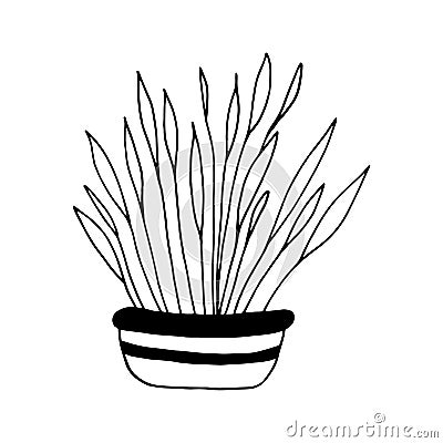 houseplant in a pot icon hand drawn. , minimalism, scandinavian, monochrome, nordic. sticker, spathiphyllum, plant Stock Photo