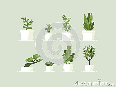 Houseplant in pots Vector Illustration