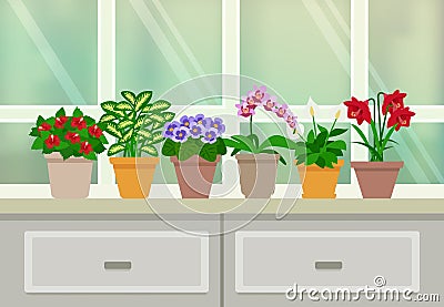 Houseplants Background Illustration Vector Illustration