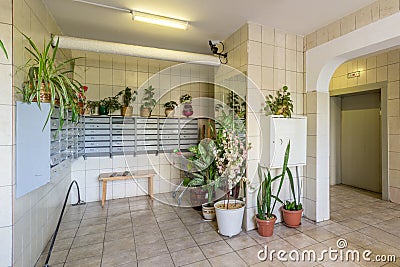 Houseplants in the hallway of multi-storey buildings, flowers from porches Stock Photo