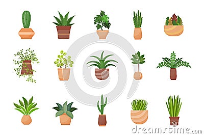 Houseplants icons set cartoon vector. Flower design Vector Illustration
