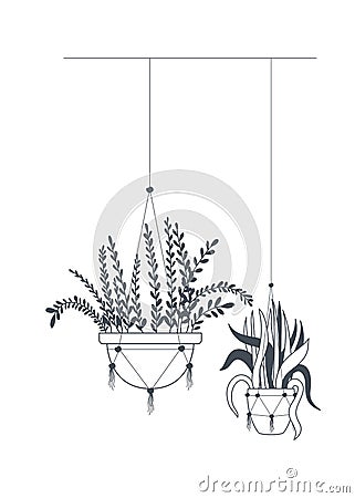 Houseplants on macrame hangers icon Vector Illustration
