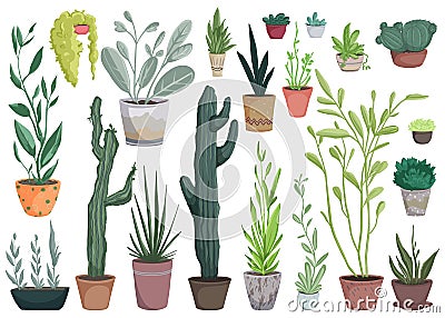 Houseplants in pots set. Collection of beautiful natural home decorations. Greenhouse or home garden with plants and cacti growing Vector Illustration