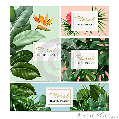 Houseplants Realistic Banners Vector Illustration