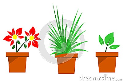 Houseplants Vector Illustration