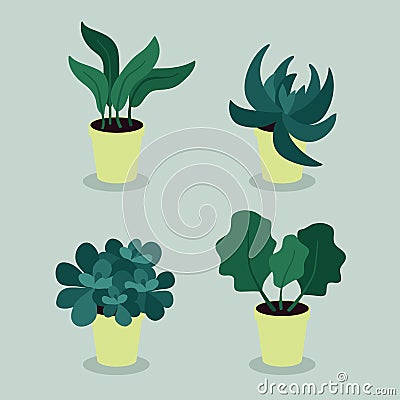 Houseplants Vector Illustration