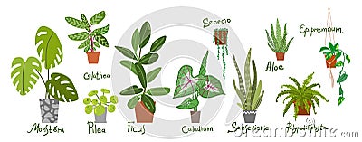 Houseplants vector illustrations. Urban jungls. Plants are friends. Vector Illustration