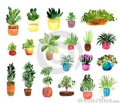 Houseplants watercolor set Stock Photo