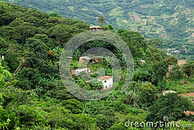 Houses in Yungas, Bolivia Stock Photo