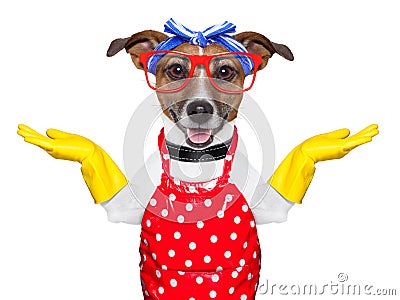 Housewife dog Stock Photo