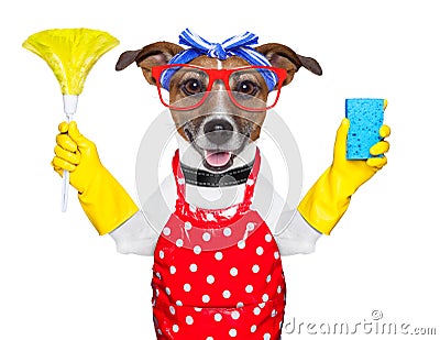 Housewife dog Stock Photo