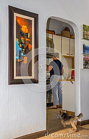 Housewife preparing meal in urban kitchen Editorial Stock Photo