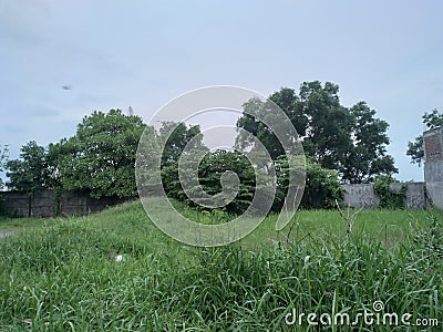 housing with beautiful views of trees and grass Stock Photo