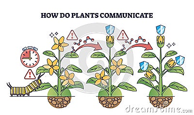 How do plants communicate with each other for self protection outline diagram Vector Illustration