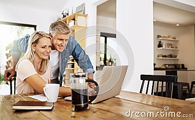 So how does this online shopping thing work. a mature couple using a laptop together. Stock Photo