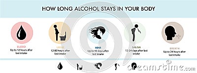 How long alcohol stays in the body Stock Photo