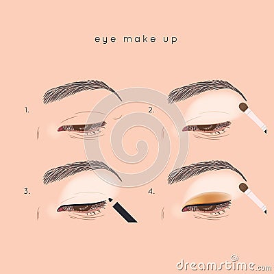 Eye make up tutorial. How to apply eyeshadow Vector Illustration