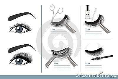 How to Apply False Eyelashes Step by Step Properly. Full Tutorial on Application. Guide. Infographic Vector Vector Illustration