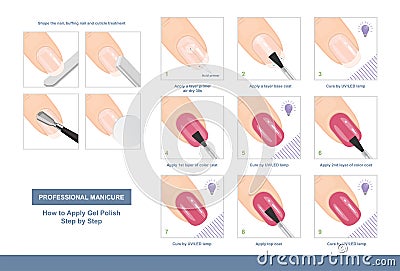 How to Apply Gel Polish Step by Step. Professional Manicure Tutorial. Vector Vector Illustration